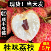 【顺丰急发】4.9斤广东桂味荔枝新鲜现摘当季水果整箱包邮2.9