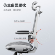 西昊（SIHOO）M59 人体工学椅全网电脑椅办公椅老板椅学生椅子宿舍学习椅电竞椅 M59AS全网款+双背分区+头枕