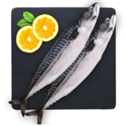 禧美 青花鱼 1kg/袋 整条2-3条装  袋装 生鲜 海鲜水产 烧烤食材