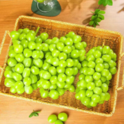 鲜其阳光玫瑰葡萄 晴王无籽香印提子新鲜水果 .净重5斤串装