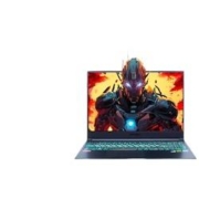 需PLUS会员全品券：MECHREVO 机械革命 旷世16 Pro 16英寸游戏本 (i9-13900HX、16GB、1TB、RTX4060）