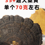 百年老牌，德杏堂 西藏桑黄 30g
