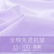 罗蒙短袖衬衫男2023夏季全棉免烫商务正装青年时尚浅紫色条纹衬衣