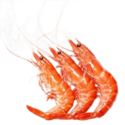 头号食客 新鲜活虾现剥大虾仁冷冻虾仁开背虾仁鲜冻大号虾仁 精选大号虾仁（31-40)500g
