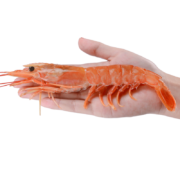 京东百亿补贴：鲜拔头筹 L1阿根廷红虾 2kg