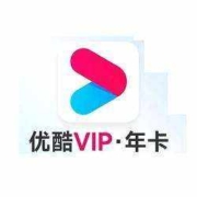 YOUKU 优酷 会员年卡 12个月