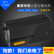 【威敏】电动车电瓶车智能通用充电器