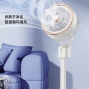 CHANGHONG 长虹 CFS-TD1901R 空气循环扇