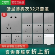 施耐德正品皓呈系列薄雾灰全屋套餐面板五孔插座开关插座32只装