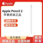 Apple/苹果 Apple Pencil (第二代) 手写笔平板学习绘画电容笔