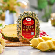 菲律宾进口，Dole 都乐 金菠萝 2只（1600g）