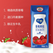 蒙牛纯甄常温风味酸奶草莓果粒200g×10 (新老包装随机)