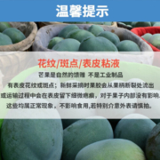 鲜指南（Xian Zhi Nan）芒果 当季新鲜水果 产地现摘现发攀枝花凯特芒果 9斤特大（单果500g+/净重8.5斤+)