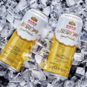 燕京啤酒 12度德式原浆白啤畅饮罐装 500ml*12听整箱装