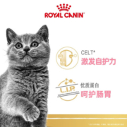 皇家猫干粮短效期 英短幼2KG（24年1月到期）
