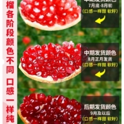 阿里自营，源生鲜 突尼斯软籽石榴 大果 单果350g+ 5斤