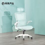 YANXUAN 网易严选 玩转系列 人体工学电脑椅 冰山绿