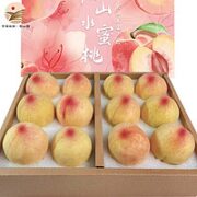 阳山 无锡阳山  水蜜桃 单果4-5两*12个礼盒装*净重4.8斤多