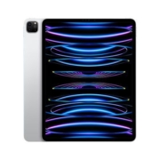苹果Apple iPad Pro 11英寸平板电脑 2022年款WLAN版【5天内发货】