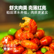 开袋即食，美享时刻 X 柳伍 油爆吮指麻辣龙虾尾 130g*3袋