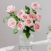 REFLOWER 花点时间 玫瑰鲜花 随机小玫瑰10枝*2件