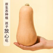 蹊蹊的小菜园 正宗奶油小南瓜 3斤