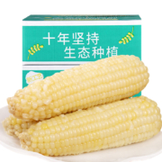 农交会金奖，禾久 非转基因鲜食白糯玉米 260g*8根