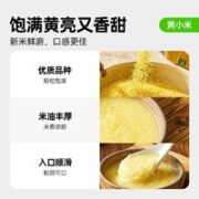 喵满分 内蒙古金苗黄小米900g