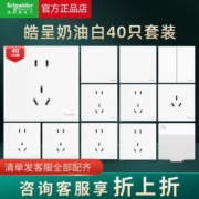 施耐德正品皓呈系列全屋套餐40只装开关插座面板五孔插座双控开关