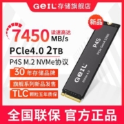 GeIL金邦2T SSD固态硬盘M.2接口(PCIe 4.0 x4)NVMe SSD游戏高性能