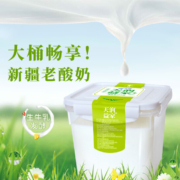 新疆网红酸奶，TERUN 天润 佳丽益家 原味酸奶 2kg桶装