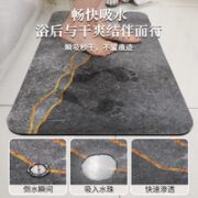 软硅藻泥浴室吸水地垫卫生间门口防滑脚垫家用洗手间厕所速干垫子