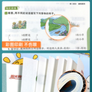 阳光同学暑假衔接作业一升二年级三升四升五升六年级下册语文数学英语人教版 小学阅读口算题卡应用题字帖专项训练教材同步练习册
