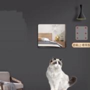 择香记 软镜子 圆角款 30*30cm