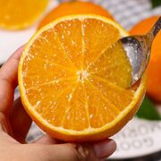 龙觇  夏橙 新鲜橙子 5斤中果60-65mm