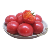 聚怀斋 陕西泾阳普罗旺斯番茄 1.5kg *4件