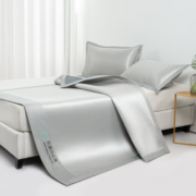 AIDLI A类抗菌冰丝凉席床席床笠三件套可折叠水洗机洗空调席子套装 银灰色（床席款） 150*200cm三件套