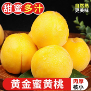 京东百亿补贴：探味君 黄金蜜黄桃  5斤净重 单果125g起