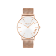 蔻驰（COACH）PERRY系列马车标识 日辉纹表盘钢链36mm 石英表14503126 七夕礼物