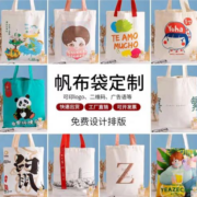 熙仕嘉 手提帆布袋 随机1个