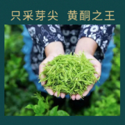 湖南老字号，白沙溪 莓人记 张家界特级野生龙须芽尖莓茶 50g