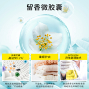 PWU朴物大美衣物双色留香珠家用洗衣服香水型香味持久洗衣凝珠