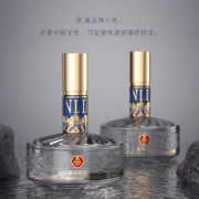 五粮液 高度浓香型白酒52度 500ml*2瓶