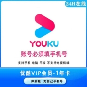 优酷VIP会员 年卡12个月