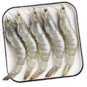 PLUS会员：Seamix 禧美海产 鲜冻白虾1.8kg/盒(大号) 规格50-60/kg 活冻大虾 生鲜 海鲜水产*3件