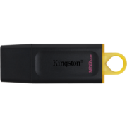 金士顿（Kingston） u盘  USB3.2 Gen 1  DTX高速车载闪存优盘 DTX-128GB(盖帽式）