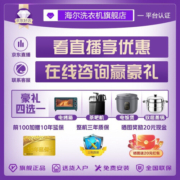 海尔（Haier）双子13kg洗衣机滚筒变频降噪全自动家用大容量分区洗护高温桶自洁手机远程操控一级能效以旧换新 13公斤分区洗衣机+10公斤176双擎热泵干衣机