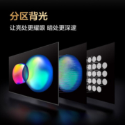 TCL 雷鸟电视 S535D AI远场语音云游戏电视 全面屏 MEMC防抖 液晶平板电视机 以旧换新 65英寸 65S535D 官方标配