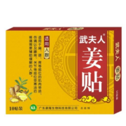 超级补贴：武夫人 颈肩腰腿四季生姜贴 10贴