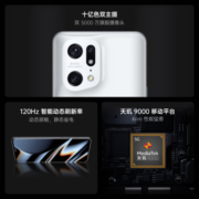 OPPO Find X5 Pro 天玑版 12+256GB 白瓷 天玑9000 5000万双主摄 2K 120Hz 5G手机【碎就换服务套装】